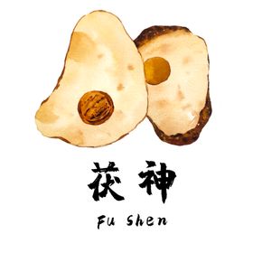 草本植物药材