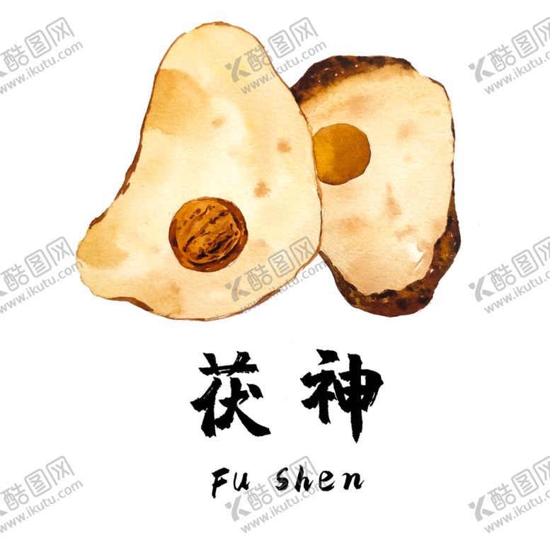 编号：13396609221547049575【酷图网】源文件下载-草本植物药材