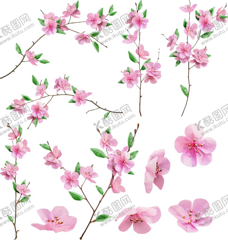 编号：98357906280613063864【酷图网】源文件下载-樱花