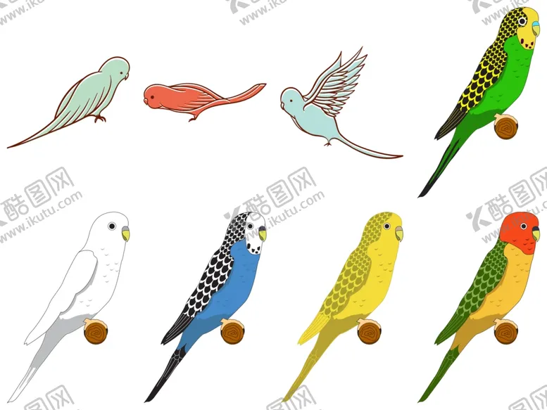 编号：54587004161335513984【酷图网】源文件下载-鹦鹉