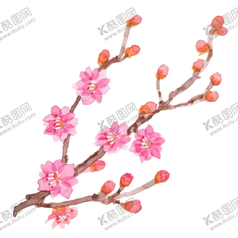 编号：14645505150053507752【酷图网】源文件下载-梅花素材