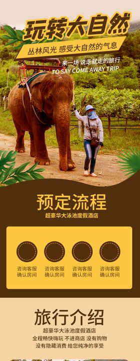 国内丛林异域风情过年旅游详情