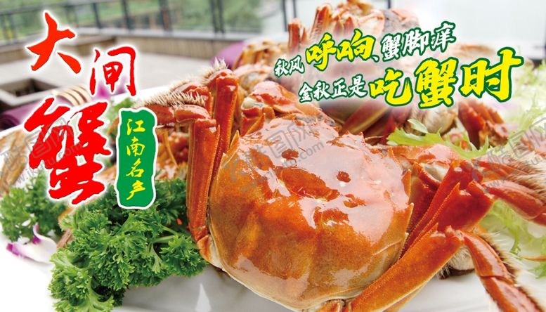 编号：55262409210849024855【酷图网】源文件下载-大闸蟹