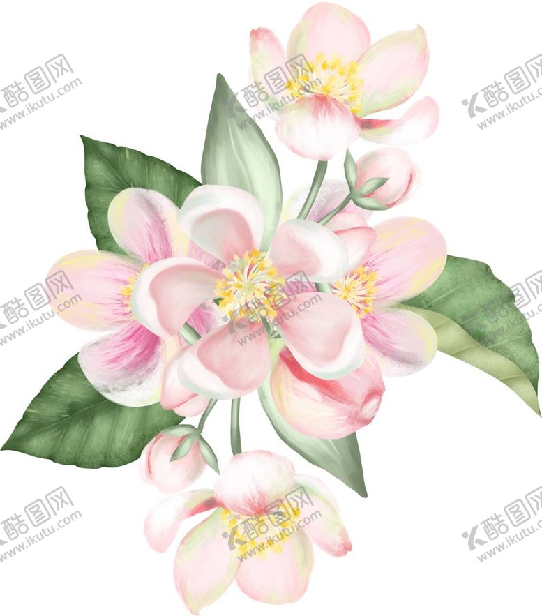 编号：85863112020340352802【酷图网】源文件下载-花卉背景 