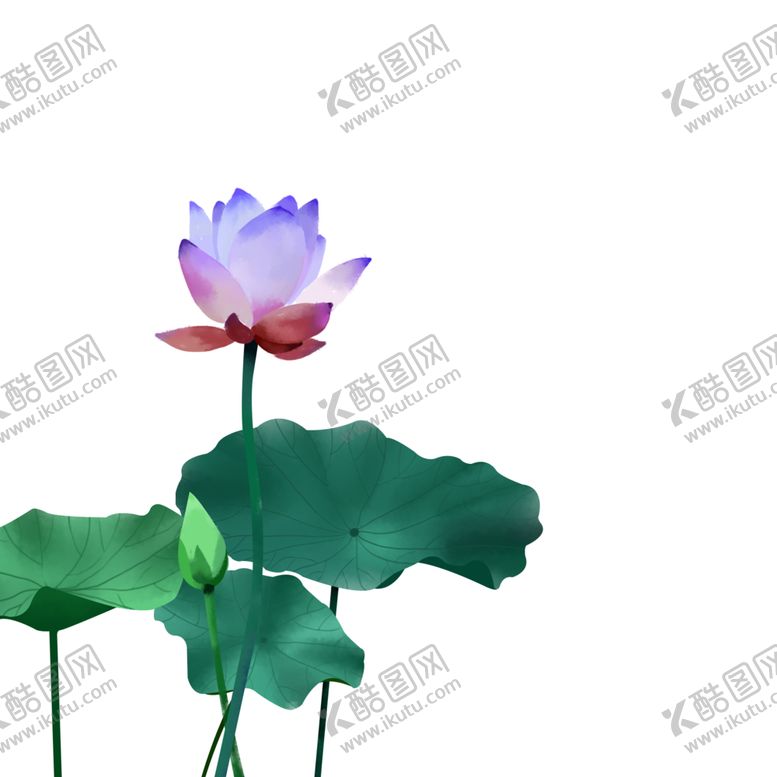 编号：15625304270547518316【酷图网】源文件下载-荷花元素