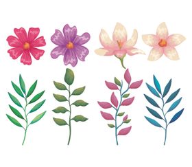 手绘鲜花