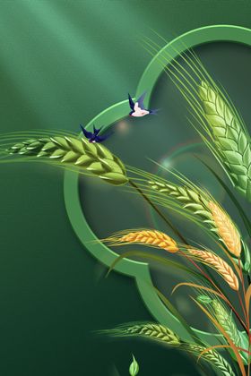 中国风背景夏天插画二十四节气舞台