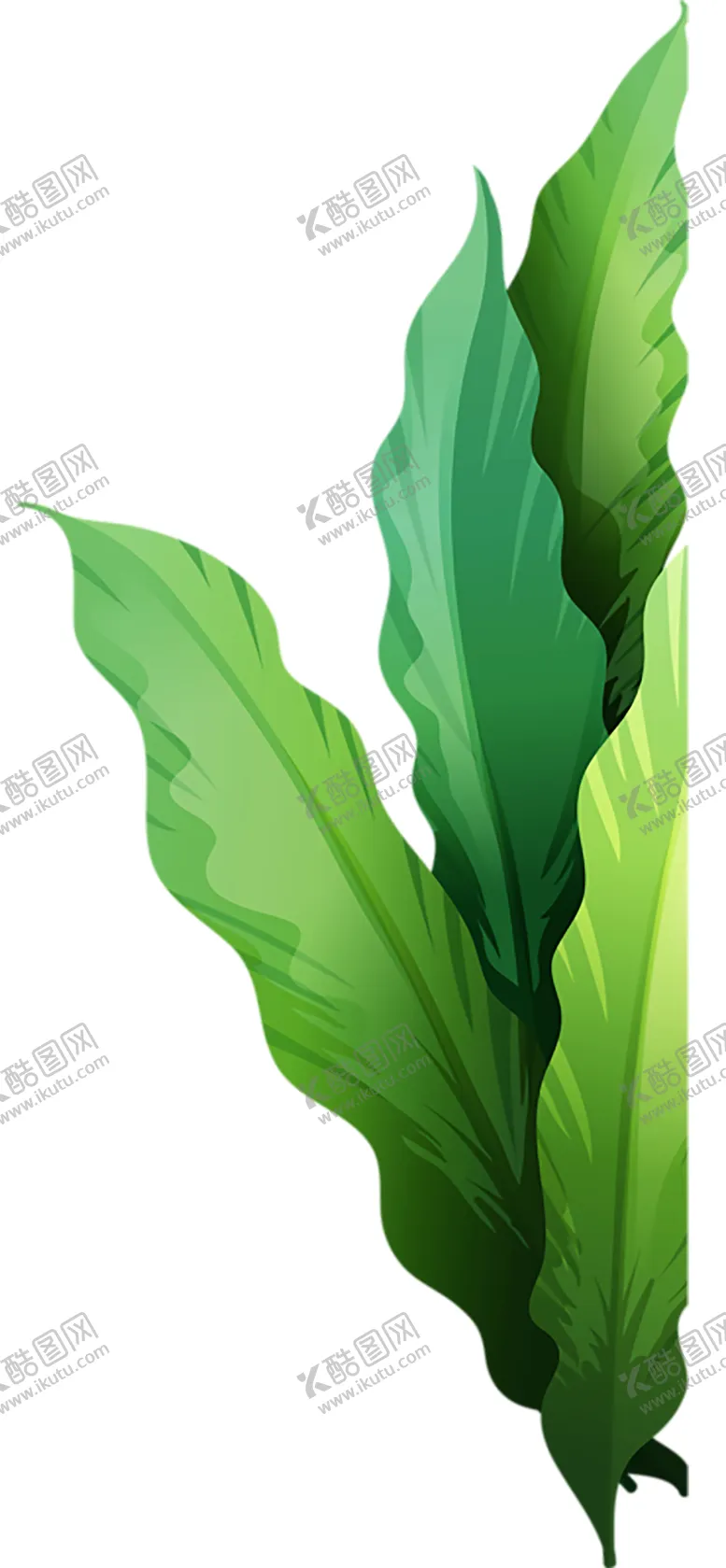 编号：18231207011221579885【酷图网】源文件下载-绿色植物