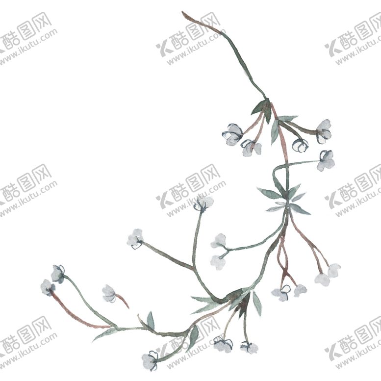 编号：81272507030127383082【酷图网】源文件下载-小清新水彩植物树枝