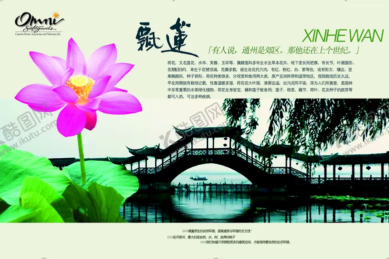 编号：43279009201030056301【酷图网】源文件下载-荷花