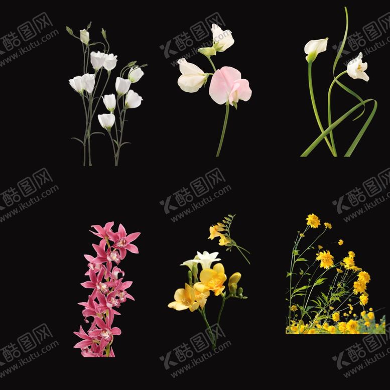编号：91769311230932113523【酷图网】源文件下载-鲜花