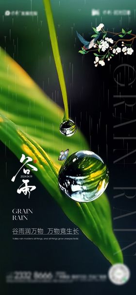 谷雨节气海报蝴蝶二十四下露珠