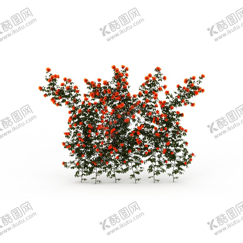 编号：50850409141854213873【酷图网】源文件下载-绿色相框