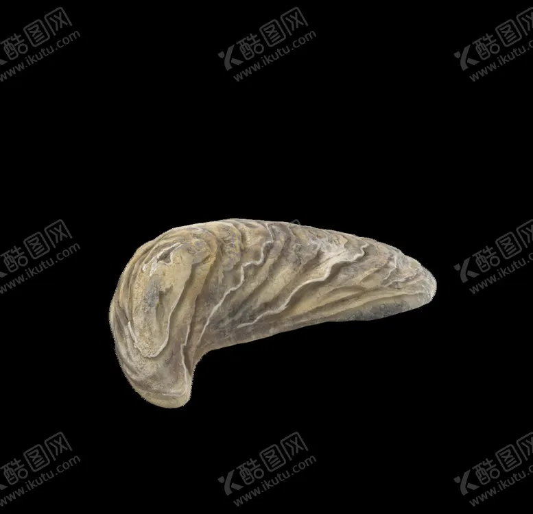 编号：52055606272114293466【酷图网】源文件下载-海洋生物