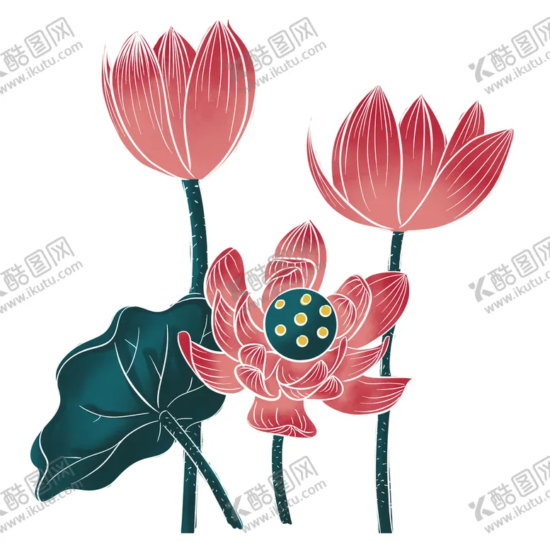 编号：84690209251138354520【酷图网】源文件下载-荷花 荷叶