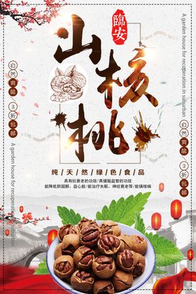 中国风山核桃坚果海报