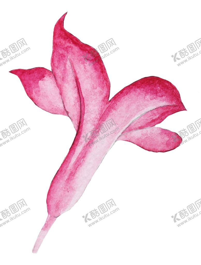 编号：87990210041910522063【酷图网】源文件下载-清新水彩植物花朵插画