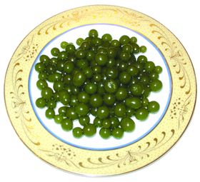 家常菜美食