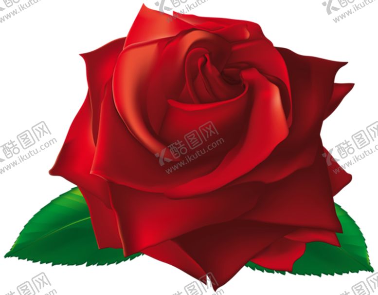 编号：70787809131648136065【酷图网】源文件下载-玫瑰