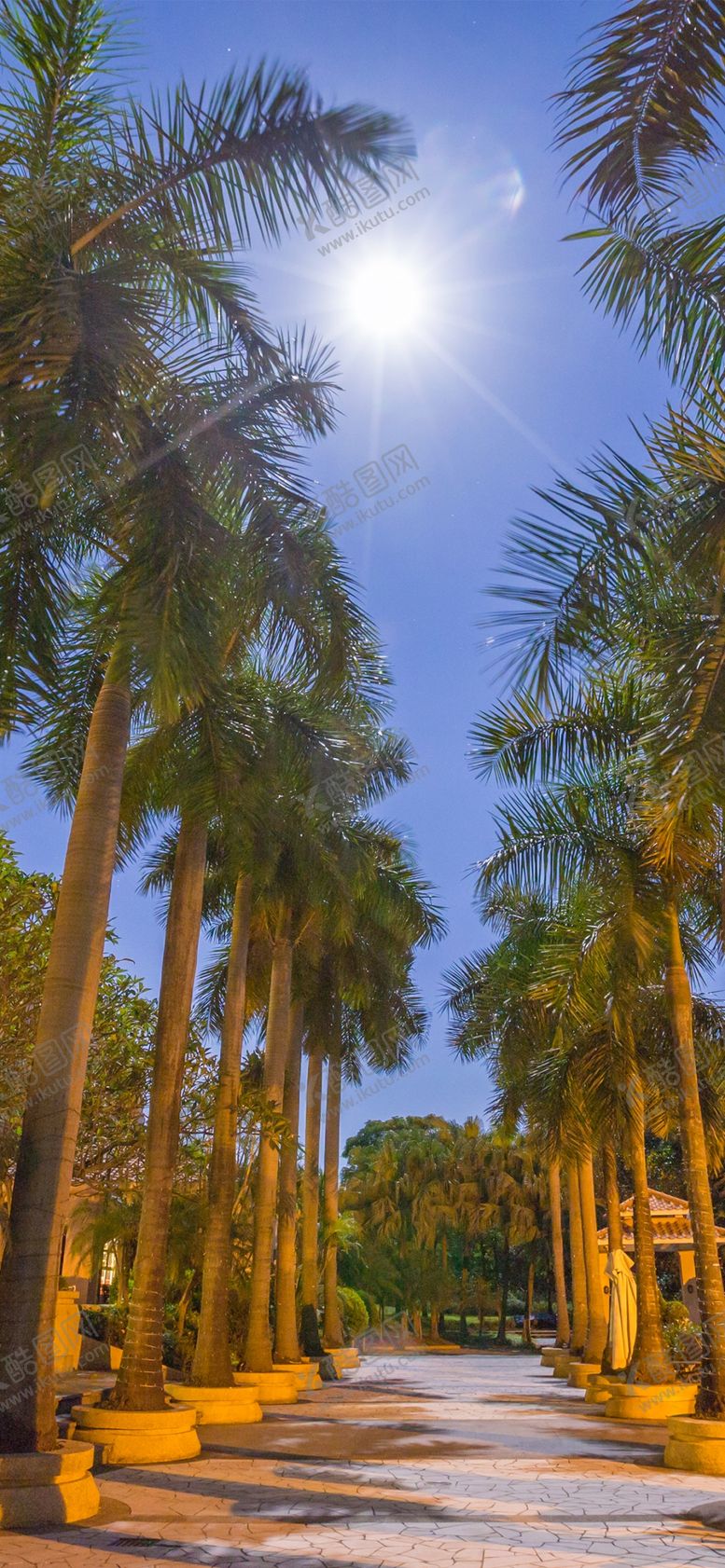 编号：81408809270248002796【酷图网】源文件下载-手机壁纸