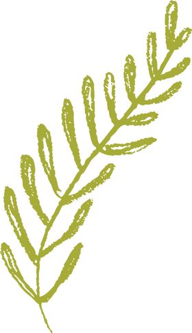 手绘植物