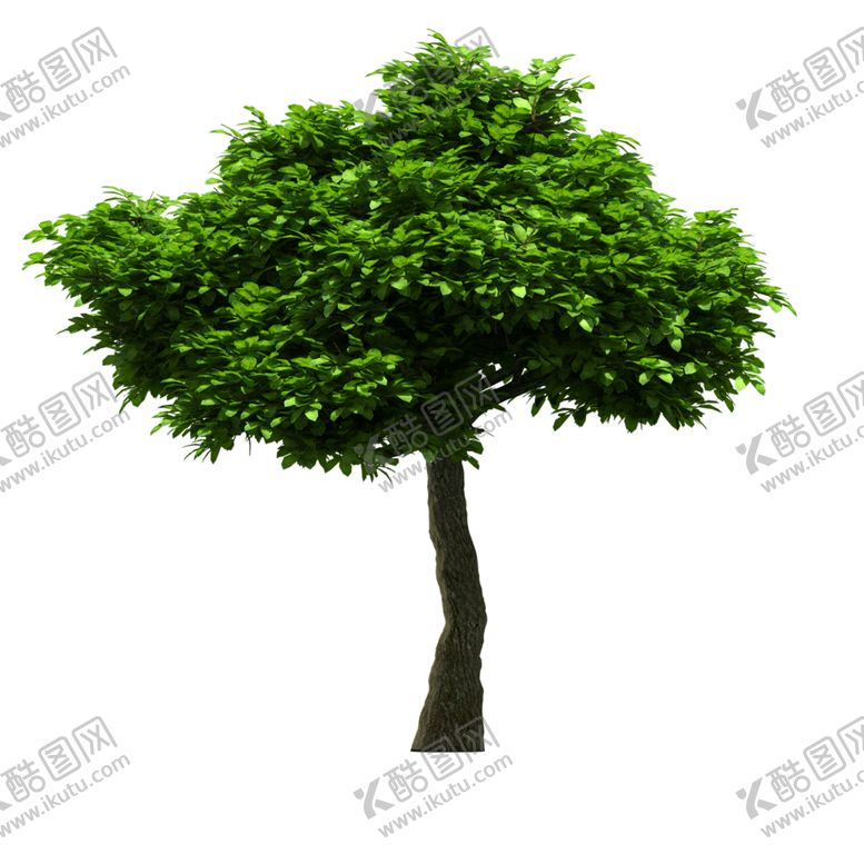 编号：87791009281721262840【酷图网】源文件下载-景观树