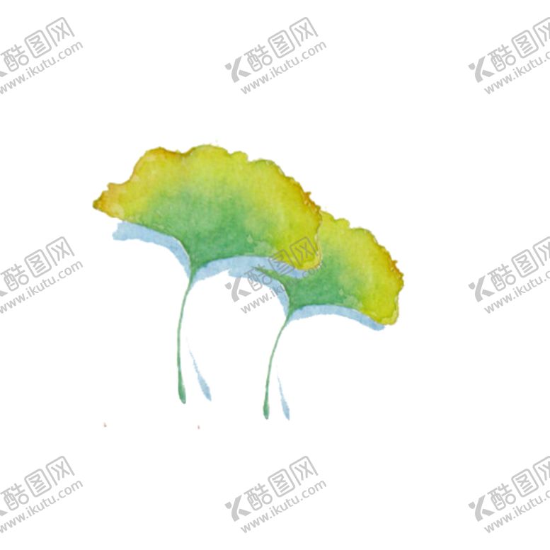 编号：62169704271754255915【酷图网】源文件下载-银杏叶