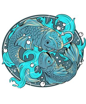 锦鲤