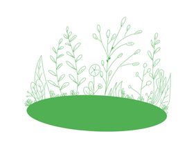 绿色圆形植物插画