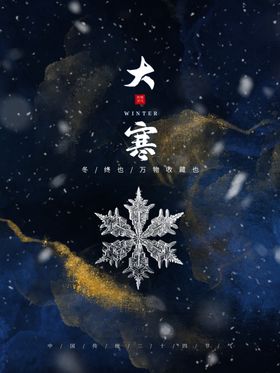 简约大寒节气海报