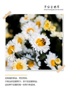 早安地产系列稿倒计时地产晚