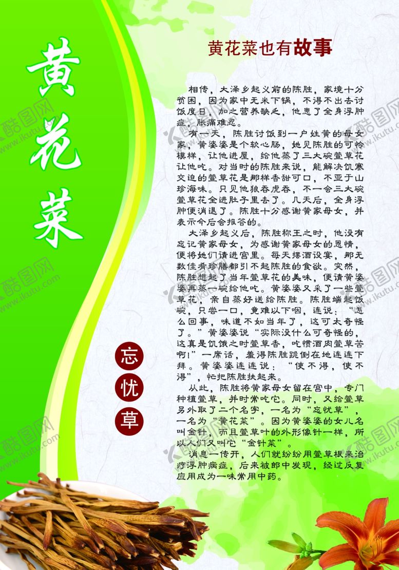 黄花菜展板安神干干宣传