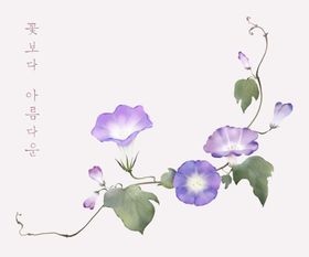 手绘牵牛花