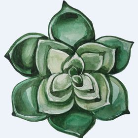png格式植物花卉手绘素材插画卡通插图多肉