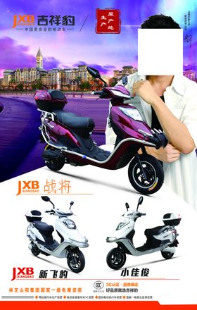 吉祥豹海报