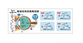 肖战陌森眼镜灯箱画