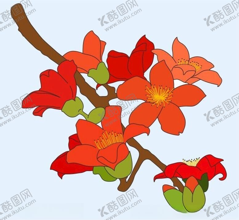 编号：87860802091402524814【酷图网】源文件下载-木棉花