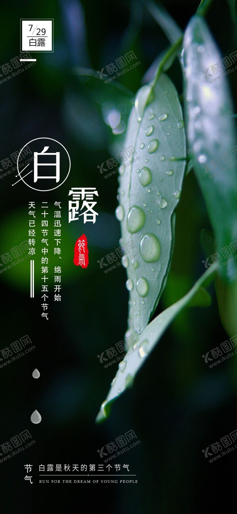 编号：92629704241905535654【酷图网】源文件下载-白露海报