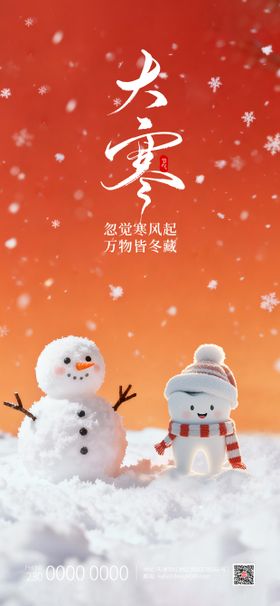 大寒24节气口腔湖边雪景宣传海报