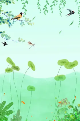 绿色背景