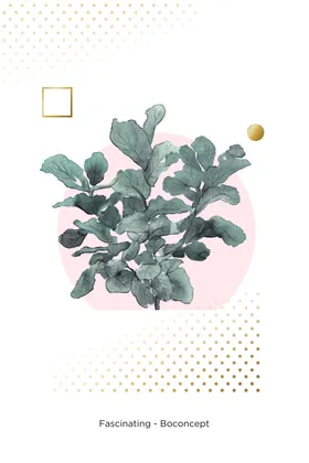 北欧简约小清新植物花卉床头挂画