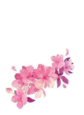 红色花