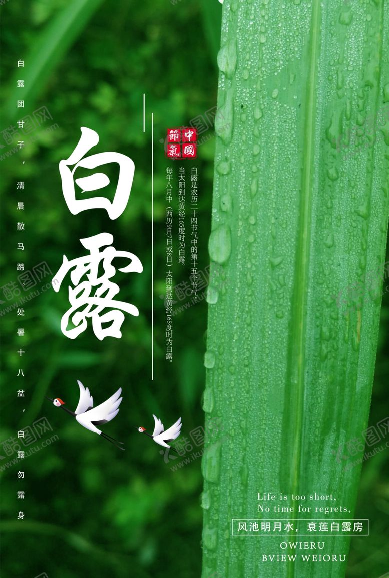 编号：75168109171525379100【酷图网】源文件下载-白露