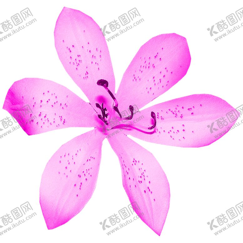编号：24299707082251489766【酷图网】源文件下载-花素材