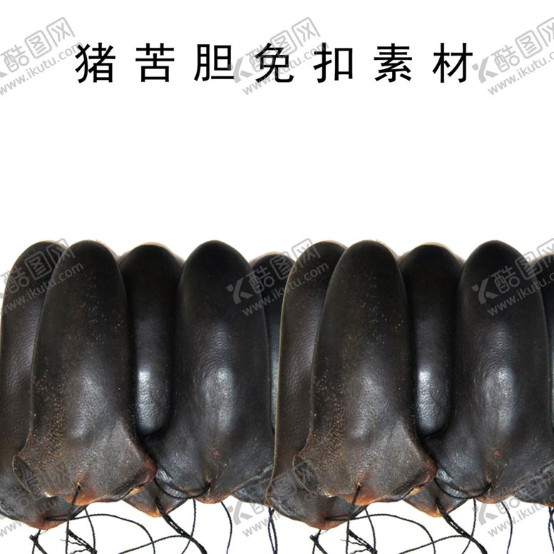 编号：74434709250855504736【酷图网】源文件下载-猪苦胆免扣素材