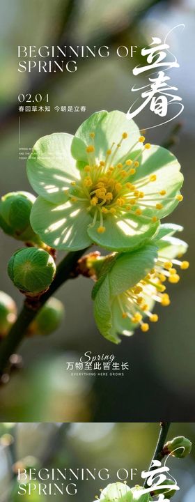 雨水惊蛰春分系列海报