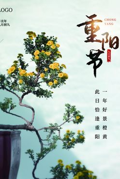 重阳节