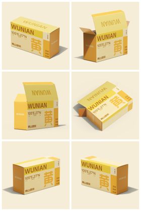 立体方盒礼盒样机