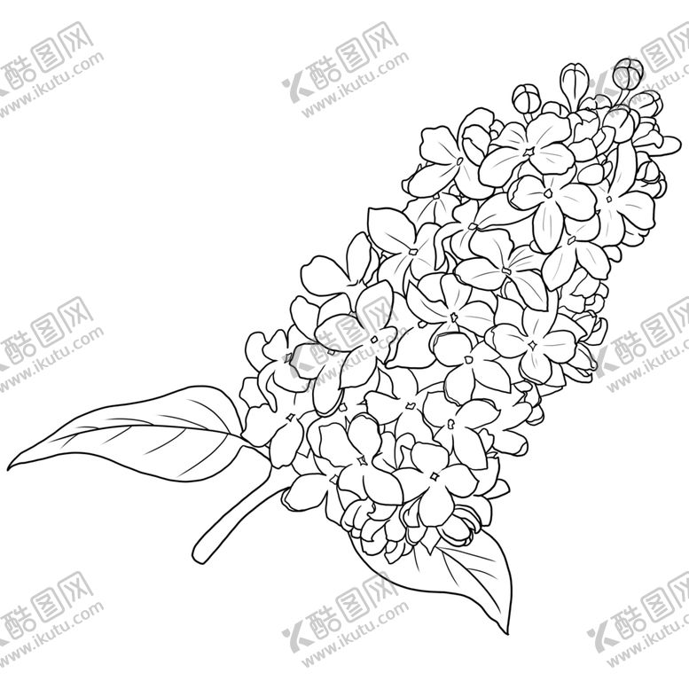 编号：81827703251310282404【酷图网】源文件下载-丁香