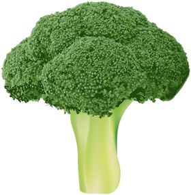 西兰花